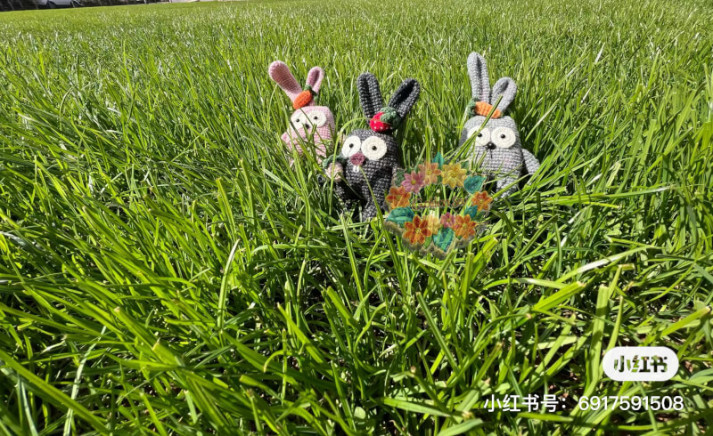 俏皮可爱的兔兔🐰刺绣|绣娘|绣女|钩织|手工|sew|diyGoldensew